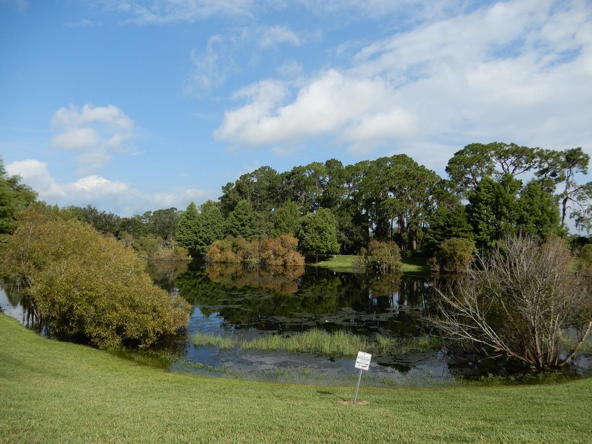Bahama Bay Villa Kissimmee Dış mekan fotoğraf